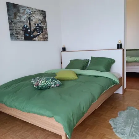 Belle Vue Du Leman Montreux