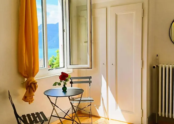 Belle Vue Du Leman Pensionat *