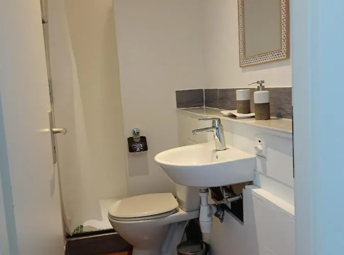 Belle Vue Du Leman Montreux