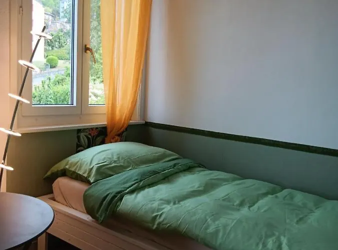 Pensionat Belle Vue Du Leman Montreux