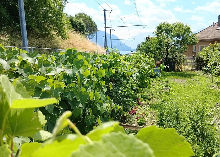 Belle Vue Du Leman Casa de hóspedes Montreux