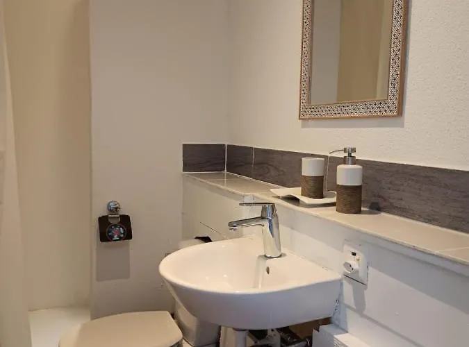 Belle Vue Du Leman Pensjonat