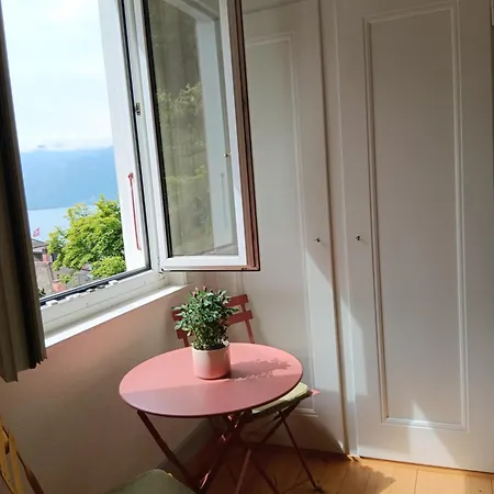 Belle Vue Du Leman