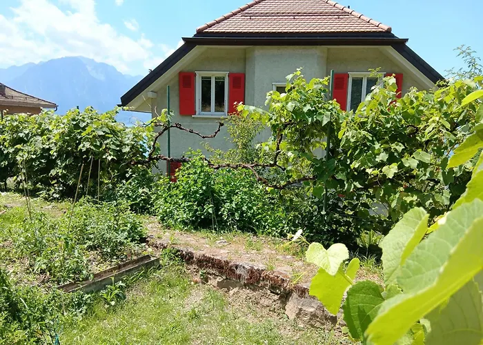 Belle Vue Du Leman Pensionat *